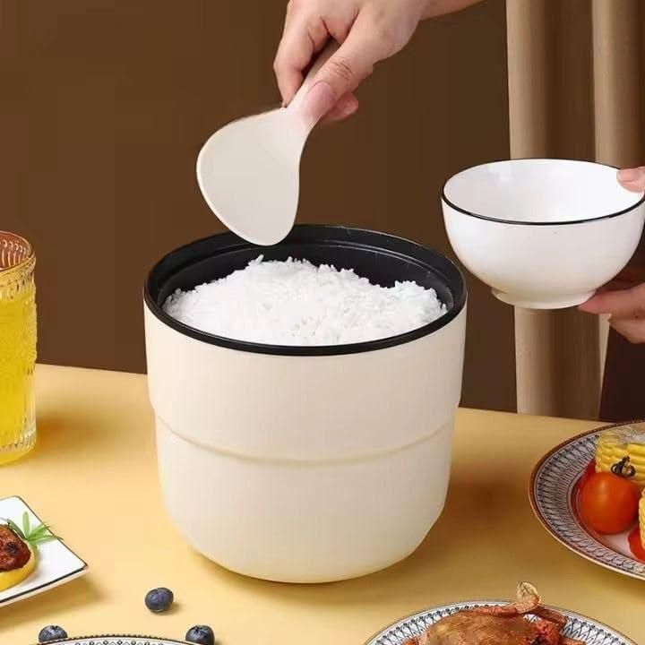 Electric Mini Cooking Pot
